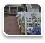 collage image title