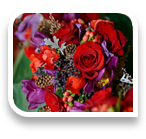 collage image title
